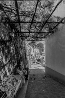 677A2046 BW