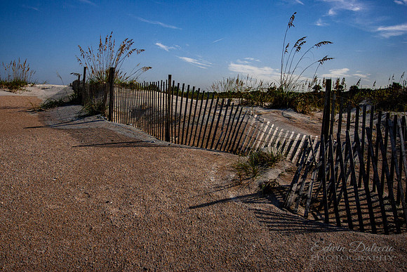 Florida's Coastline