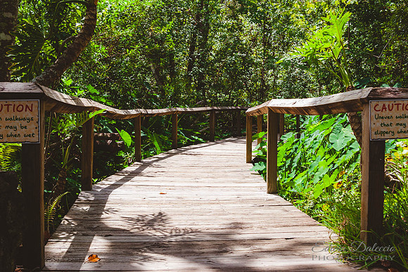 Down on the walkway