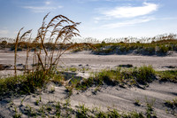 Florida's Beach Dunes
