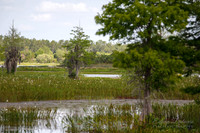 IMG_0019